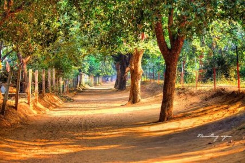 Govardhan Hill-5